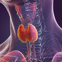 Alterações específicas vistas em um simples exame durante a gestação podem estar ligadas a maior ocorrência de autismo, aponta estudo 