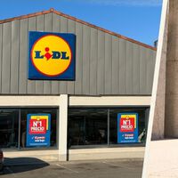 Lidl saca este lunes 2 de noviembre unas zapatillas estilo Skechers para salir a correr por menos de 12 euros 