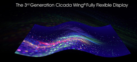 Cicada Wing