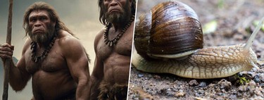 Hace 115.000 años, los neandertales ya estaban obsesionados con la 'cocina de temporada'. Las pruebas están en una cueva de Murcia 