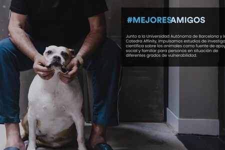 ベストフレンズプログラムのアリアドナ・クレウスによる写真