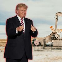 "Vamos a taladrar, baby". Trump inaugura una nueva era del petróleo y firma la sentencia de muerte de los coches eléctricos y la energía limpia en su primer día en el cargo
