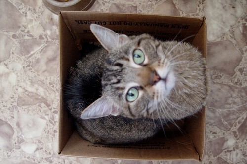 Imagem | Fuzzy Gerdes