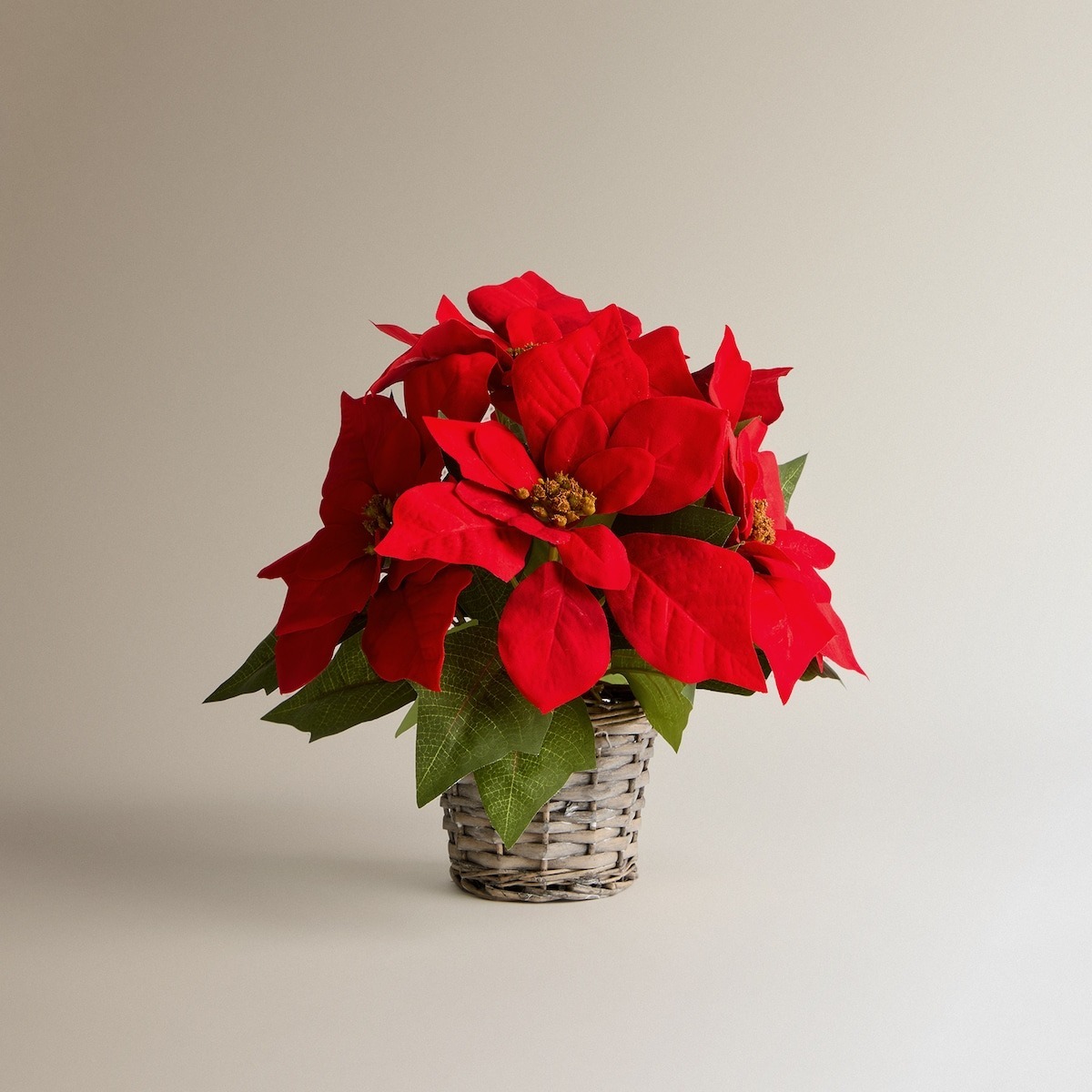 El Corte Inglés - Flor de Ponsetia artificial en maceta de ratán Navidad.