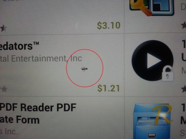 Hormiga en un Nexus 10