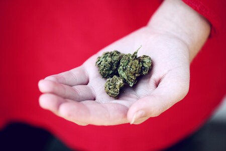 El CBD como método alternativo para la relajación. Cuáles son sus beneficios.