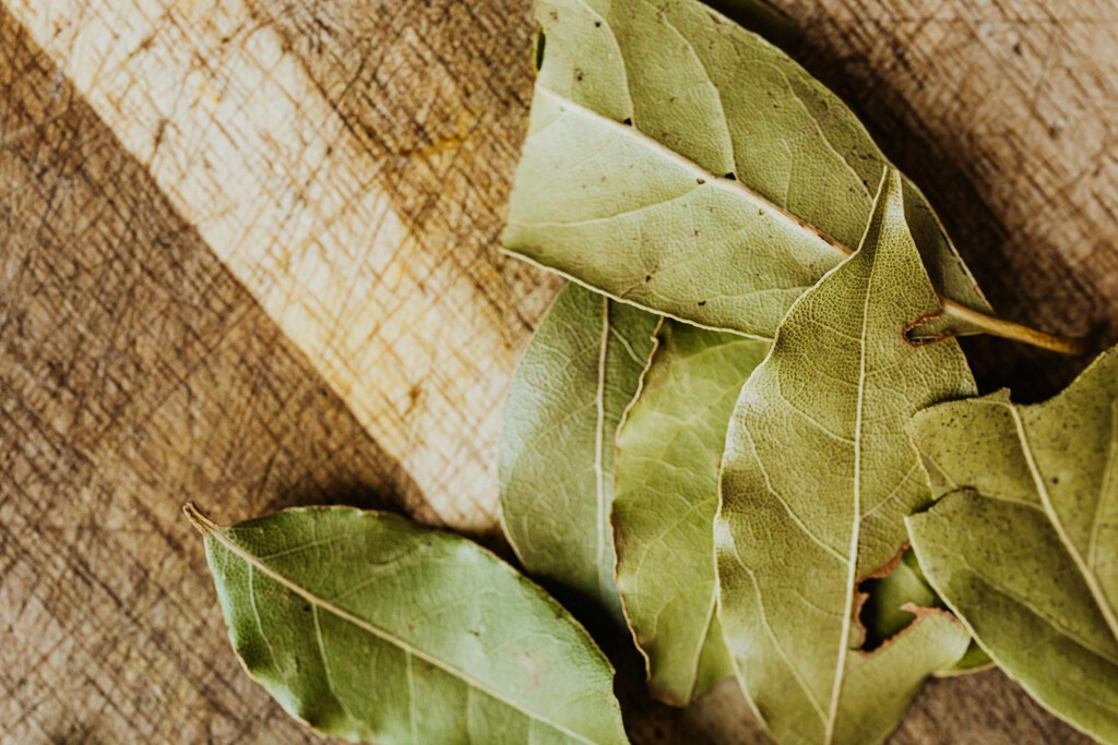 Por esto deberías quemar hojas de laurel en tu hogar