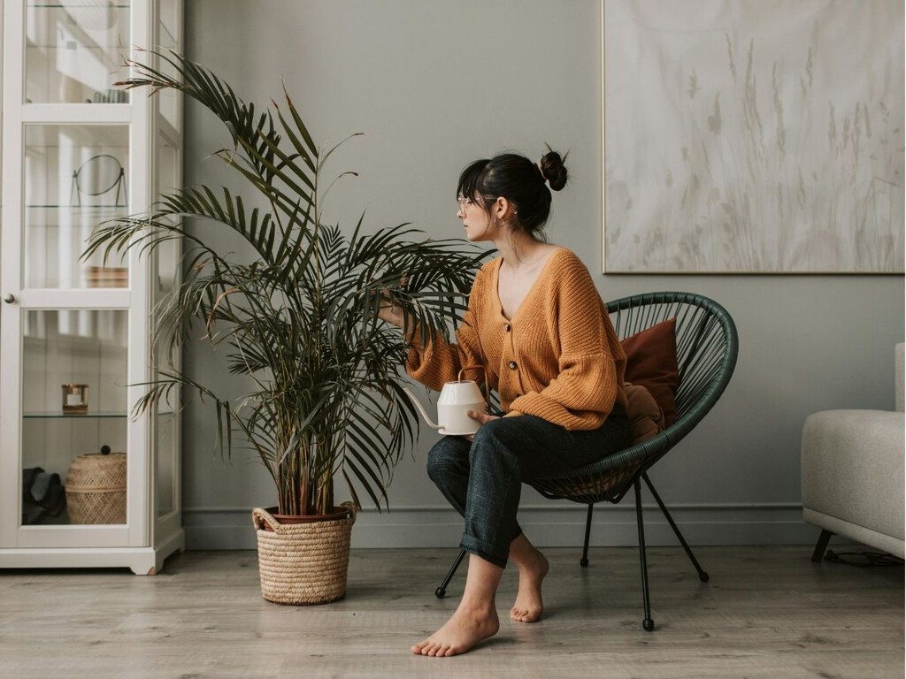 Ojo a regar así en invierno: estos son los errores que más perjudican a tus plantas en los meses de frío