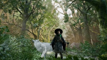 Beast Of Reincarnation