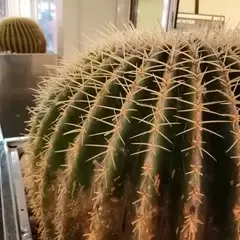 Foto 114 de 154 de la galería fotos-tomadas-con-el-honor-10-lite en Xataka Android