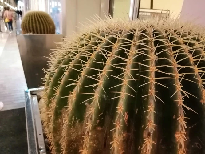 Foto de Fotos tomadas con el Honor 10 Lite (114/154)