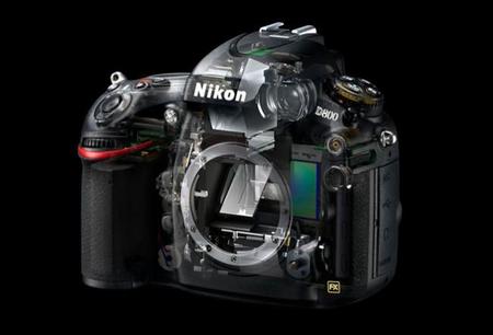 Ya se han filtrado las posibles especificaciones de la sucesora de las D800 y D800E de Nikon
