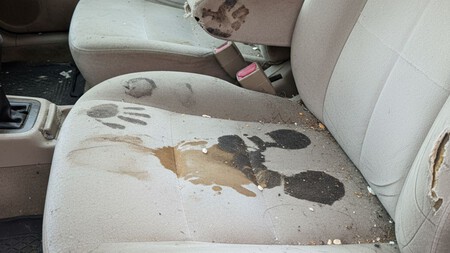 Cómo limpiar las manchas de los sillones del coche con una fórmula casera que es una maravilla con solo 3 ingredientes