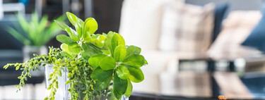 Llegan a Maisons du Monde los soportes para plantas más chics y elegantes: ideales para decorar el patio o la terraza