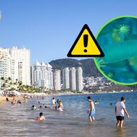 Si vas a la playa este verano en México, estas son las playas que Cofepris recomienda evitar 