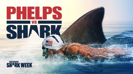 ¿Por qué Michael Phelps no debió enfrentarse con un tiburón blanco?
