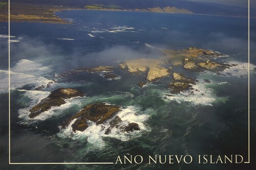 Tres islas llamadas Año Nuevo en el mundo