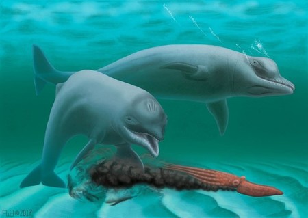 Se descubre un fósil de una especie de delfín extinta hace millones de años