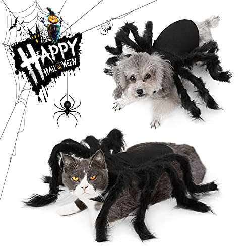 Disfraz De Halloween del Gatos Perros, Ropa y , Divertidos para Mascotas (Araña)