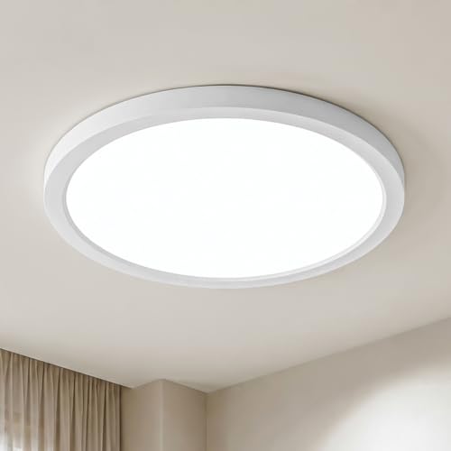 LQWELL Lámpara de techo LED Ultra Delgada Blanco 22cm