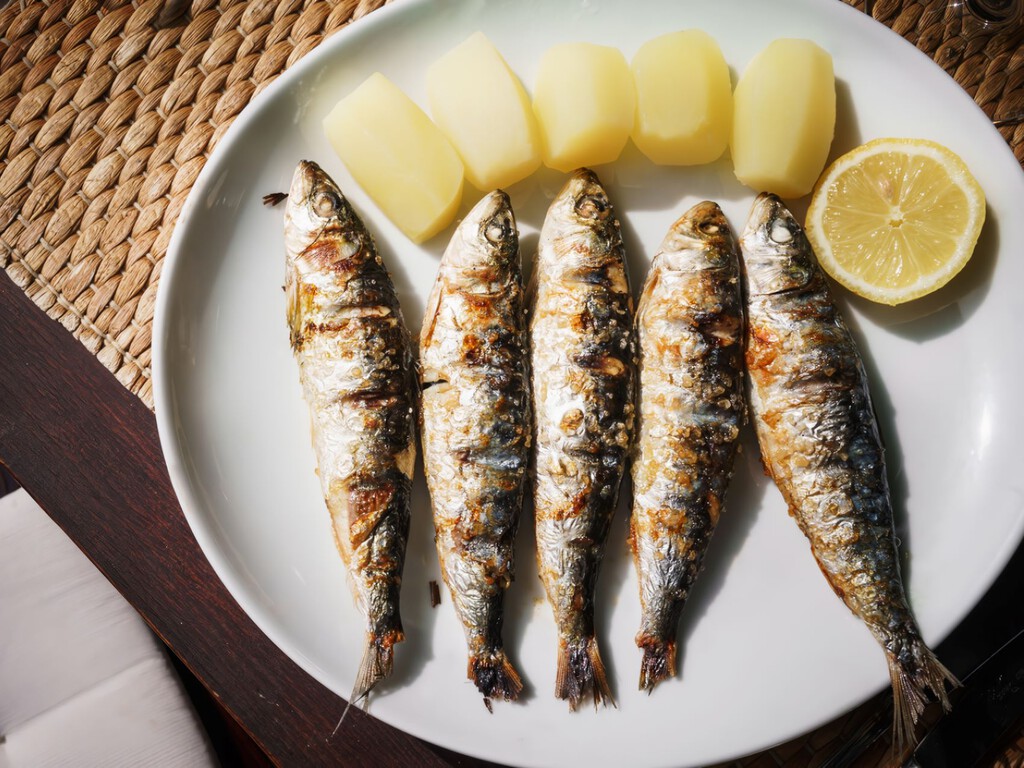 Un manjar apestoso: por qué nos repele el olor a sardinas si huelen igual que otros pescados y cómo cocinarlas para evitarlo