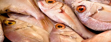 Estos son los pescados con más posibilidades de contener anisakis 