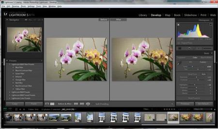 Adobe ha añadido perfiles de color para las cámaras Olympus a Camera RAW y Lightroom