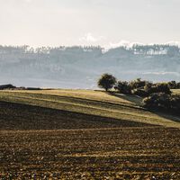 Un agricultor enterró sus calzoncillos en el campo para medir la fertilidad del suelo. Y la ciencia le da la razón