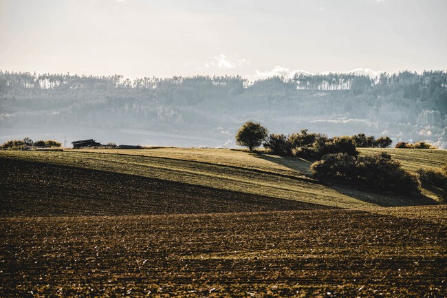 Campo Agricultura