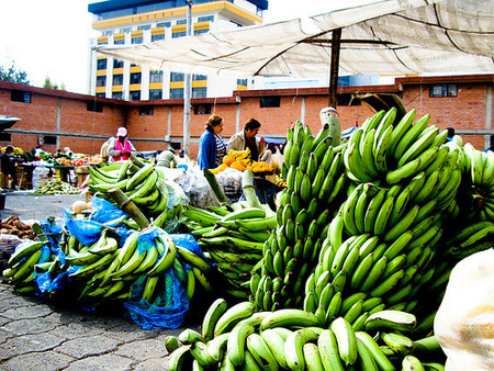 Menos aranceles para los plátanos