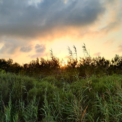 Foto 29 de 34 de la galería asus-zenfone-ar en Xataka