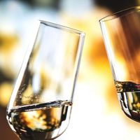 ¿Qué puede pasar si embarazada o lactando esta noche brindas con alcohol?