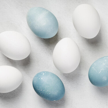 No son un dulce: los huevos azules existen y, aunque los ponen gallinas mutantes, son comestibles 