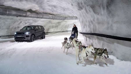 ¿Quién va más rápido? 240 caballos jalando un Land Rover Discovery o 6 perros en trineo?