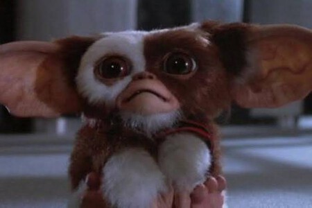 Gizmo