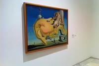 Dalí en el Museo Reina Sofía