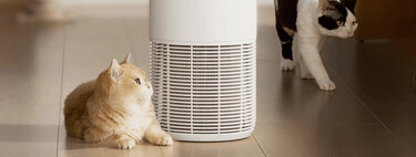 Tengo un gato que suelta mucho pelo, y este aparato de Xiaomi es una bendición para mis pulmones