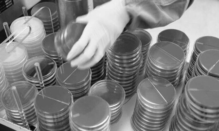 Restos de europeos infectados por sífilis que son anteriores a Colón, desafían la idea de que él introdujo la enfermedad en Europa