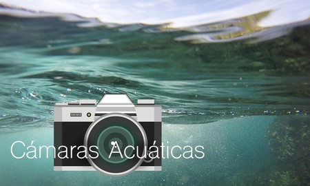 13 cámaras acuáticas para disfrutar del verano sin dejar escapar ni un recuerdo