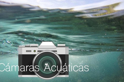 13 cámaras acuáticas para disfrutar del verano sin dejar escapar ni un recuerdo