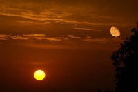 La noche más corta del año