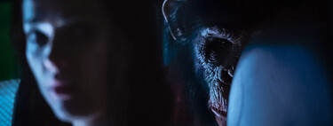 Después de ver Primate te va a dejar de hacer gracia el chiste del mono con un cuchillo 