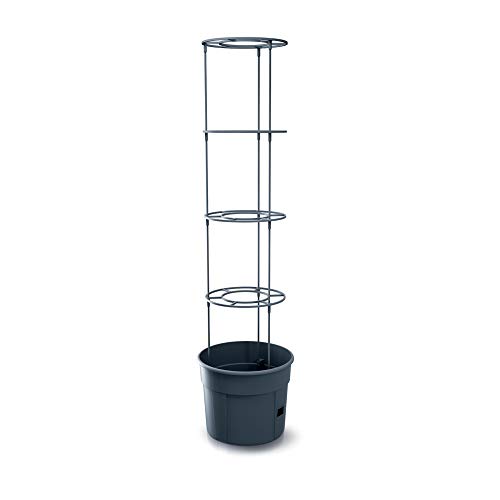 Prosperplast Macetero Tomate Grower de plástico en Color Antracita (Largo) x 29,5 (Ancho) x 23,6-115,2 (Alto) cm