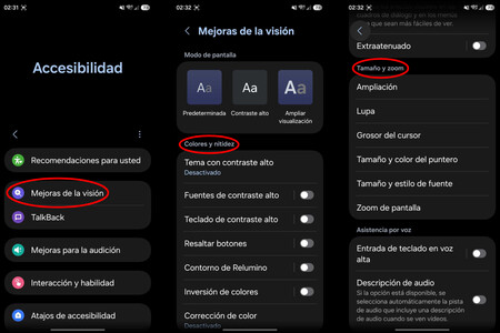Galaxy Accesibilidad Vision