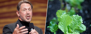 Larry Ellison queria alimentar o mundo cultivando alface em sua ilha particular: ele a regou com US$ 500 milhões 