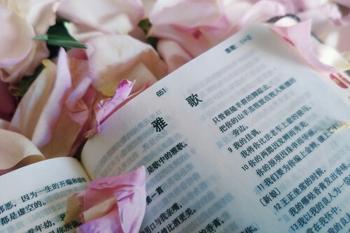 Women are reading homosexual erotic literature in China