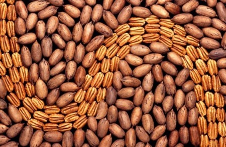 La nuez americana, mi último descubrimiento en frutos secos