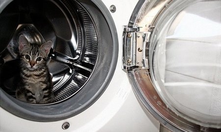 Ahorra con cada lavado, ¡domestica la lavadora!