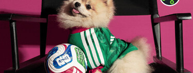 Adidas tiene un nuevo jersey para que tus mascotas también apoyen a la Selección Mexicana durante el Mundial 2026 