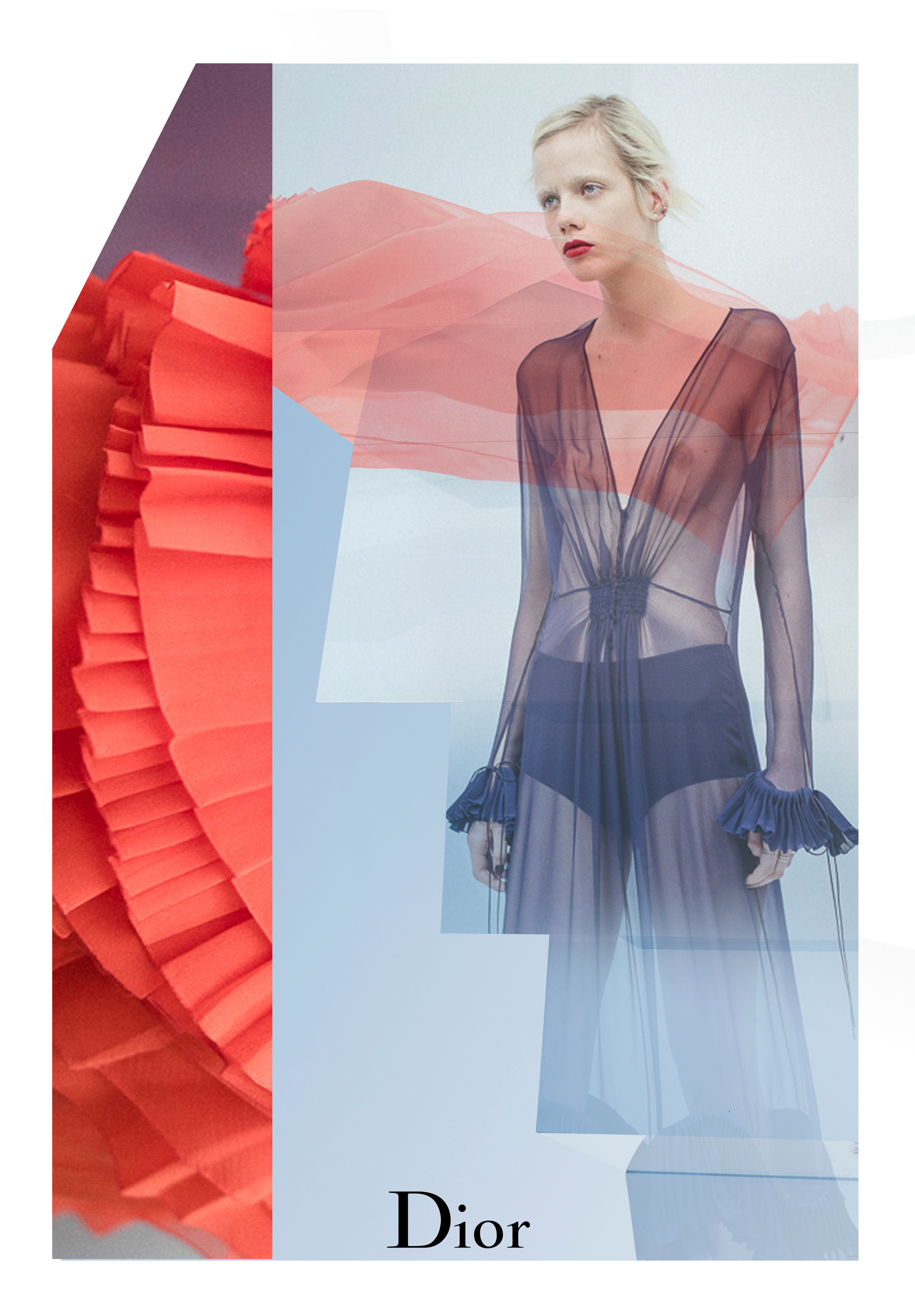 Foto de Detalles desfile Dior Alta Costura (1/15)